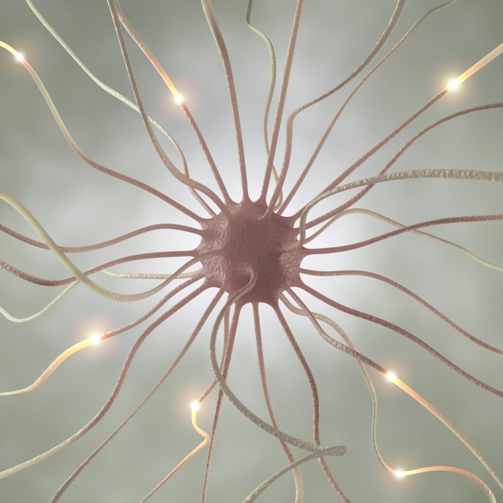 Nerve Cell Pulse